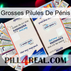Grosses Pilules De Pénis kamagra1